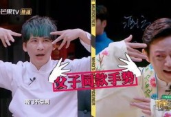 明星大侦探第9季免费完整版高清