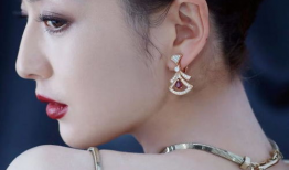 明星照片,揭秘明星照片背后的故事